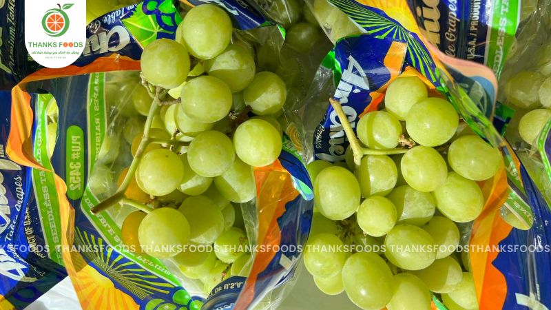 Nho xanh Autumn Crisp Air Chief Mỹ chất lượng