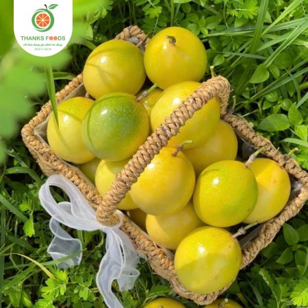 Chanh dây hương ổi Dalat