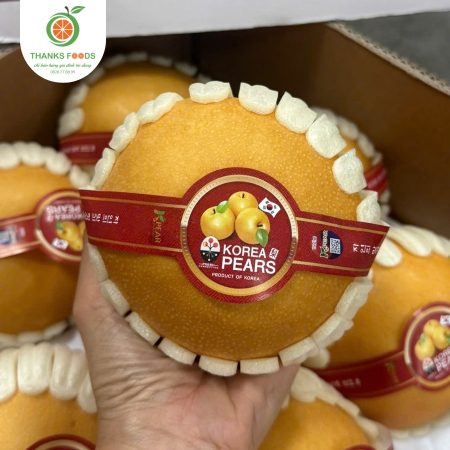 Lê Hàn Quốc Tem Đỏ