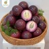 Vú Sữa Tím Xưa Hữu Cơ