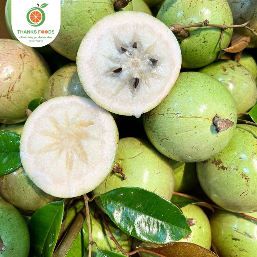 Vú sữa Lò Rèn 1 Vú sữa Lò Rèn