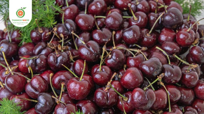 Cherry Chile size lớn