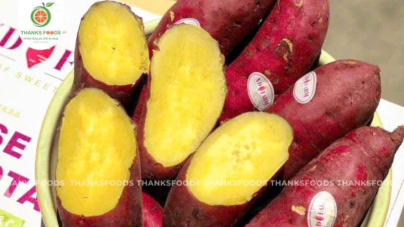 Khoai Lang Viền Tím XD Farm 10 Khoai Lang Viền Tím XD Farm bùi, ngọt tự nhiên