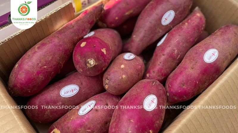 Khoai Lang Viền Tím XD Farm 9 Khoai Lang Viền Tím XD Farm - Vip Loại 1