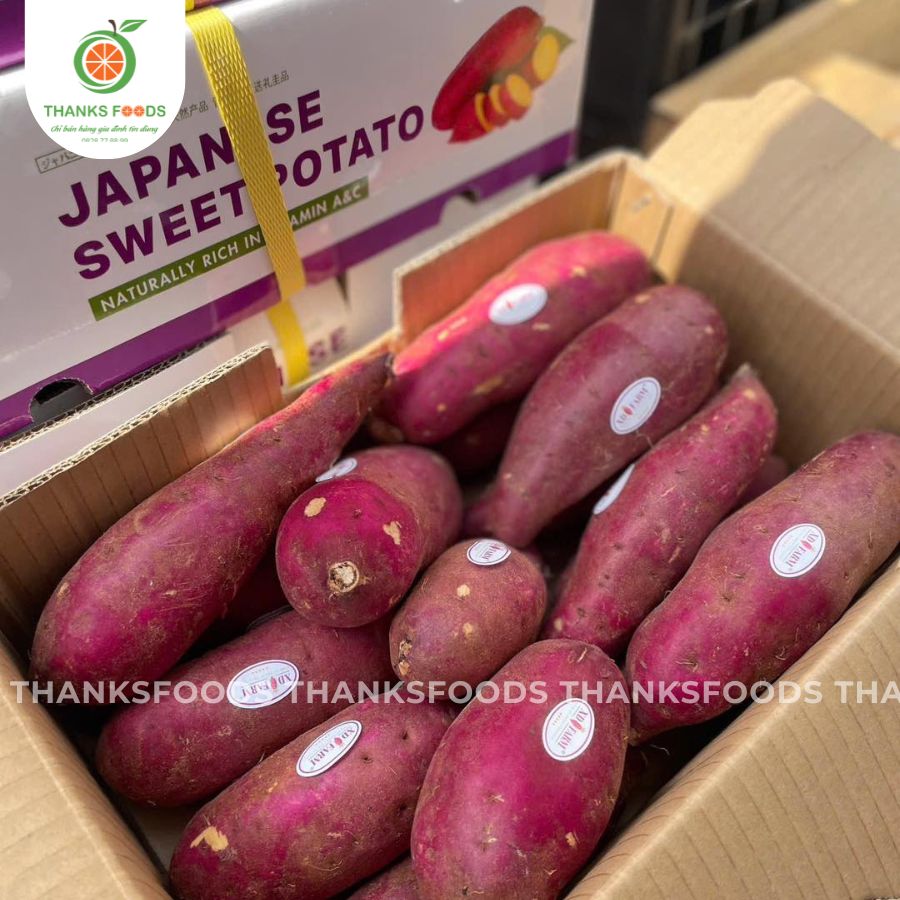 Khoai Lang Viền Tím XD Farm 2 Khoai Lang Viền Tím XD Farm - Ảnh 2