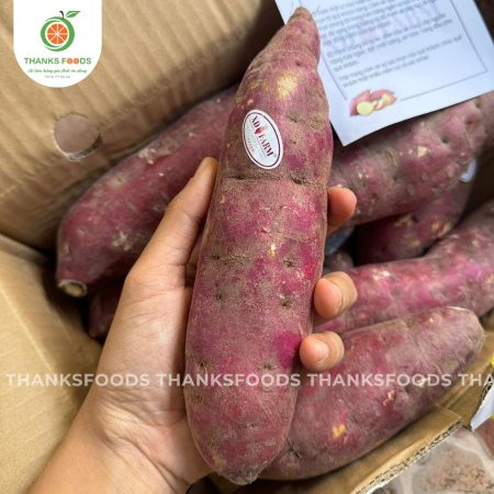 Khoai Lang Viền Tím XD Farm 6 khoai lang vien tim xd farm hinh anh dai dien 2