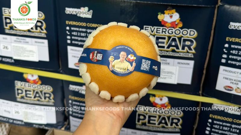 Lê Hàn Papa Park 13 Lê Hàn Quốc Papa Park