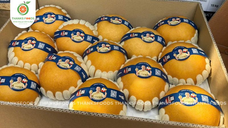 Lê Hàn Papa Park 11 Lê Hàn Papa Park nhập khẩu chính ngạch