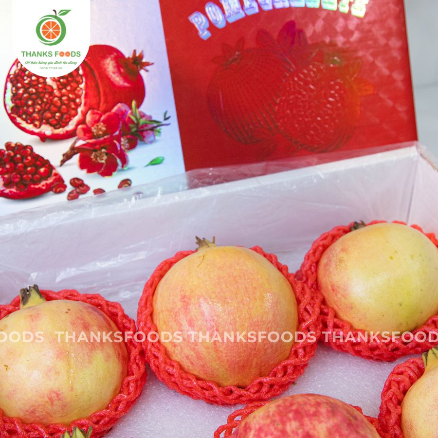 Lựu Tunisian 5 Lựu Tunisian - Ảnh 5