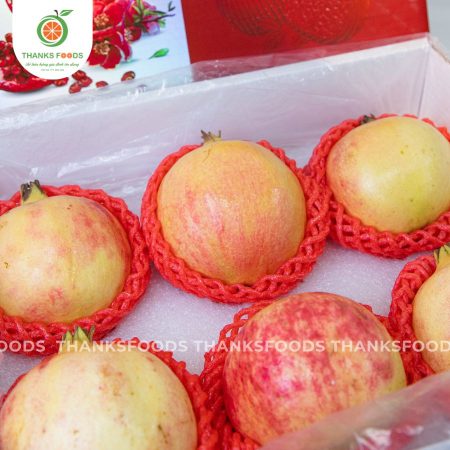 Lựu Tunisian nhập khẩu chính ngạch