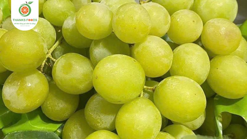 Nho xanh Autum ILUME Mỹ 11 Túi Nho Xanh Autumn Crisp iLLume Mỹ - 1kg