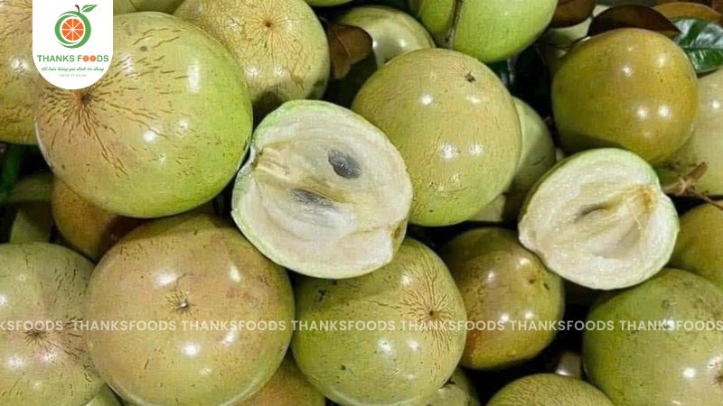 Vú sữa Lò Rèn 12 Vú sữa Lò Rèn chất lượng