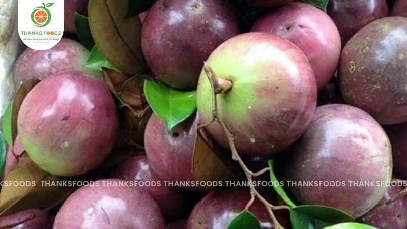 Vú Sữa Tím Xưa Hữu Cơ 13 Vú Sữa Tím Xưa Hữu Cơ chất lượng - Thanks Foods