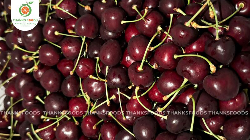Cherry Kordia Úc 12 Cherry Kordia Úc ngon, không mềm, ngọt quả