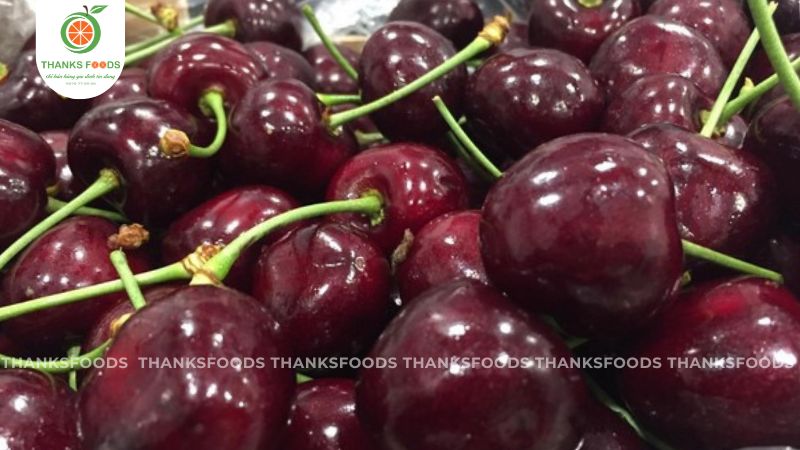 Cherry Kordia Úc 11 Cherry Kordia Úc ngọt lịm