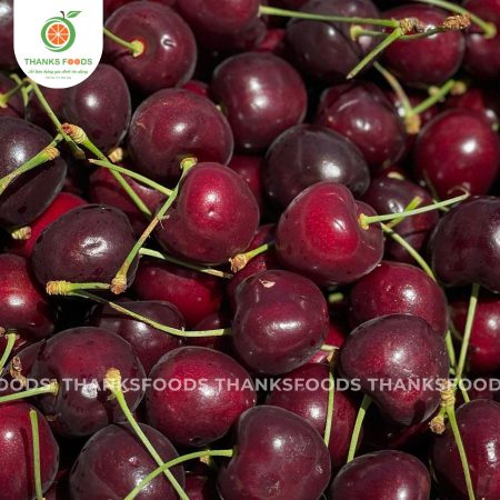 Cherry Kordia Úc 8 cherry kordia uc hinh anh dai dien 3