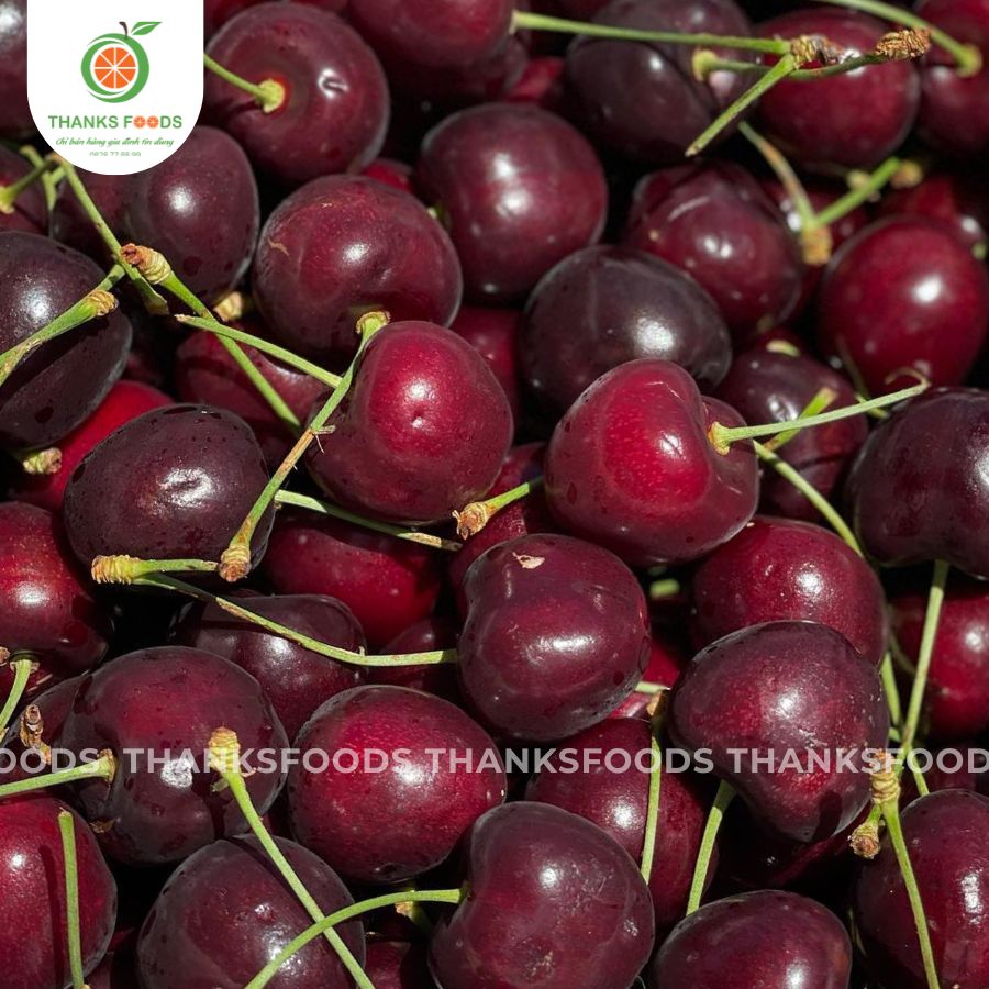Cherry Kordia Úc 4 Cherry Kordia Úc - Ảnh 4