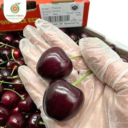 Alternative view of Cherry Kordia Úc