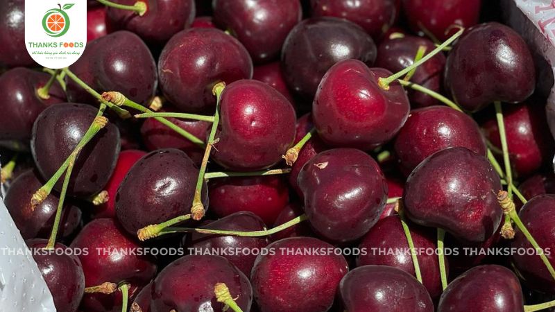 Cherry Kordia Úc 10 Cherry Kordia Úc - Hàng Vip loại 1