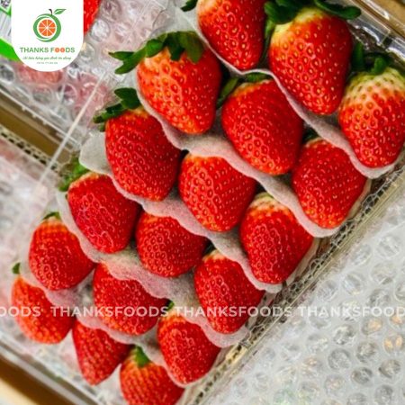 Dâu Golden Hàn Quốc 9 dau golden han quoc hinh anh dai dien 4