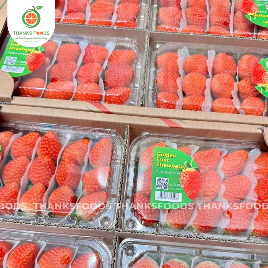 Dâu Golden Hàn Quốc 2 Dâu Golden Hàn Quốc - Ảnh 2