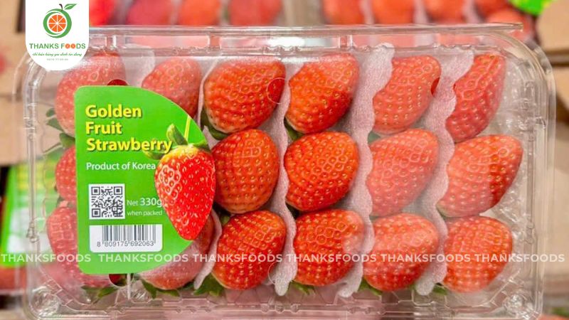 Dâu Golden Hàn Quốc 10 Dâu Golden Hàn Quốc tươi ngon