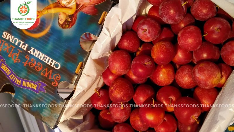 Mận Cherry Sweet Pixie Úc chất lượng, ngọt, ngon, giòn