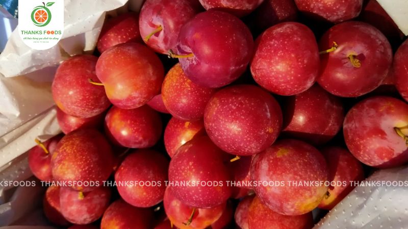 Mận Cherry Sweet Pixie Úc có thịt quả chắc