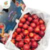 Mận Cherry Sweet Pixie Úc