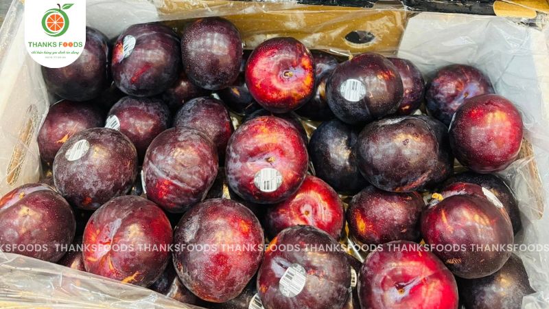 Mận đỏ Úc hàng bay, đảm bảo độ tươi rói