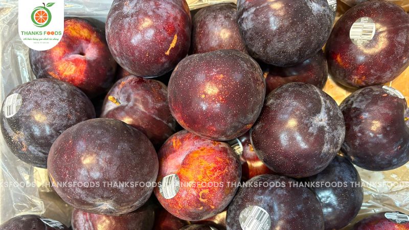 Mận đỏ Úc giá tốt tại Thanks Foods