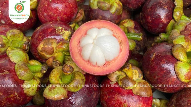Măng Cụt Thái 9 Măng Cụt Thái chất lượng, không sượng
