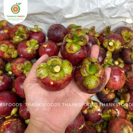 Măng Cụt Thái 6 mang cut thai hinh anh dai dien 3