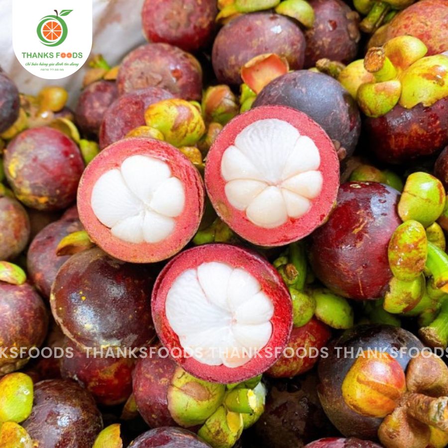 Măng Cụt Thái 1 Măng Cụt Thái
