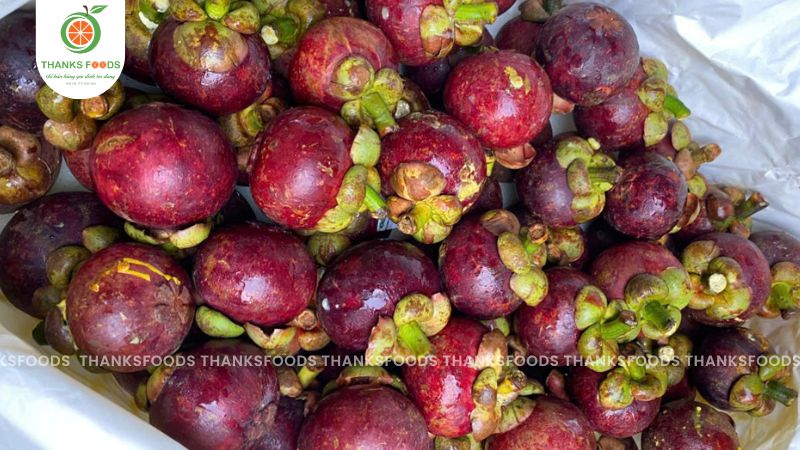 Măng Cụt Thái 8 Măng Cụt Thái hàng tuyển loại 1