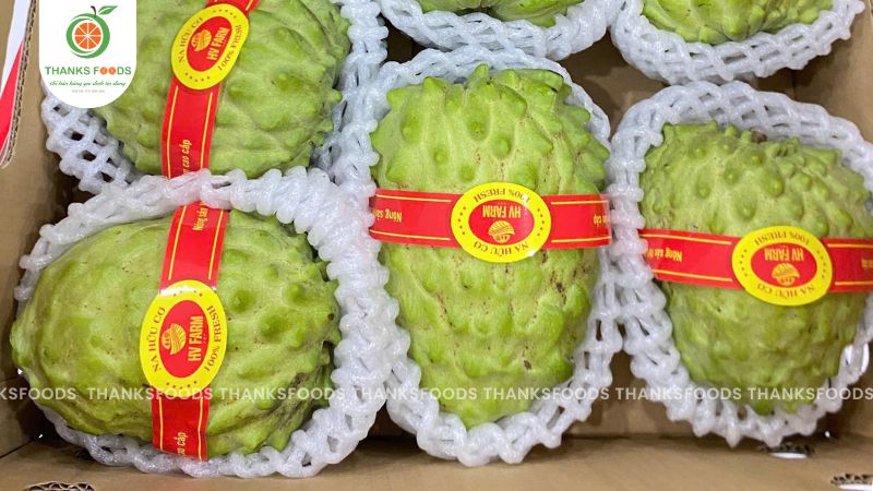 Na Đài Loan 9 Na Đài Loan - Na hữu cơ