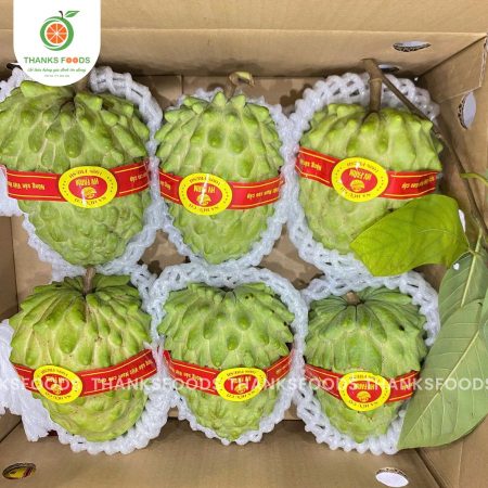 Na Đài Loan 7 na dai loan hinh anh dai dien 3