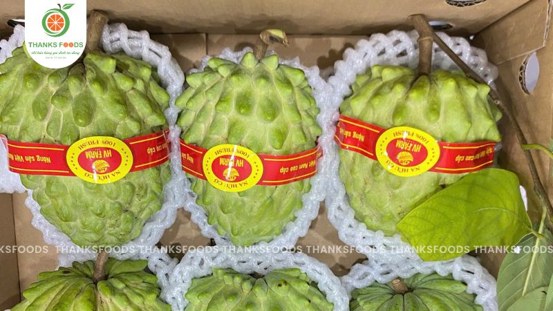 Na Đài Loan 8 Na Đài Loan HV Farm