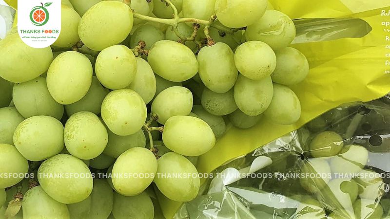 Nho Xanh Úc RJN 11 Nho Xanh Úc RJN nhập khẩu chính ngạch - Thanks Foods