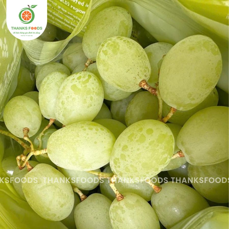 Nho Xanh Úc RJN 2 Nho Xanh Úc RJN - Ảnh 2