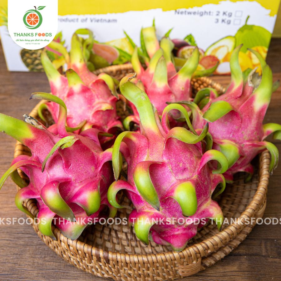 Thanh Long Ruột Đỏ Hữu Cơ 5 Thanh Long Ruột Đỏ Hữu Cơ - Ảnh 5