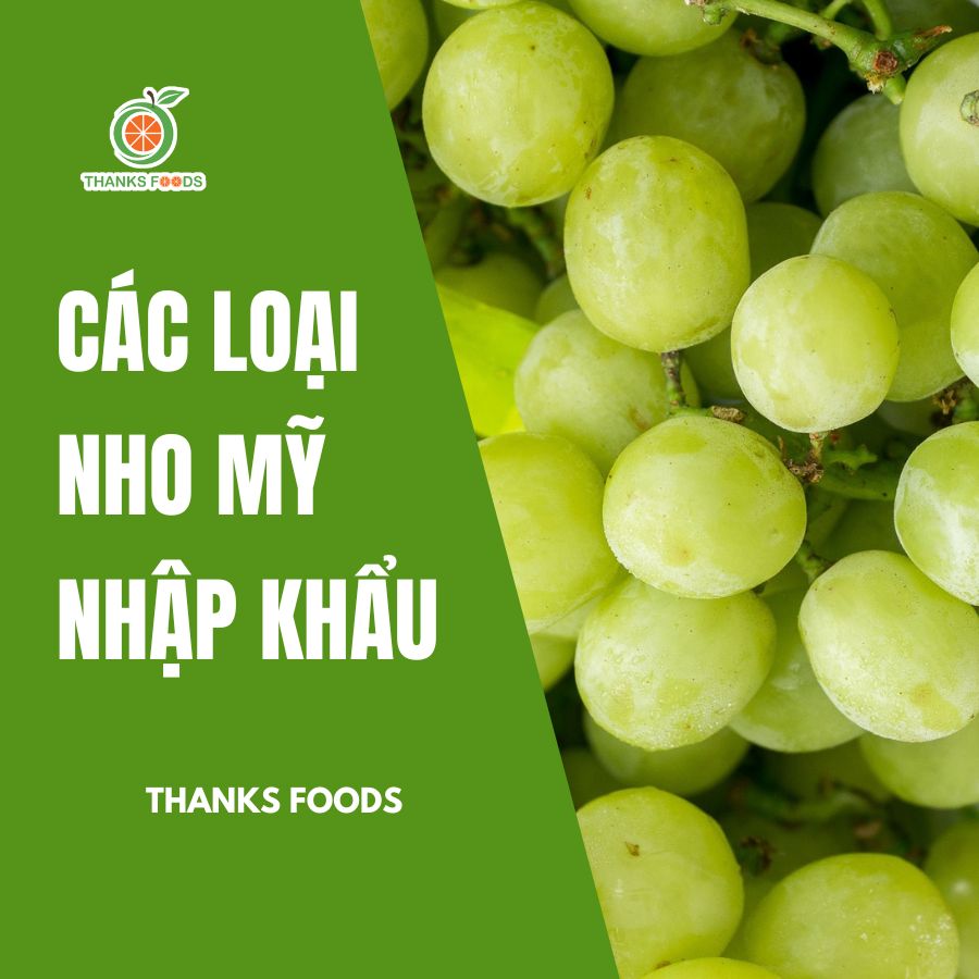 Nho Mỹ các loại