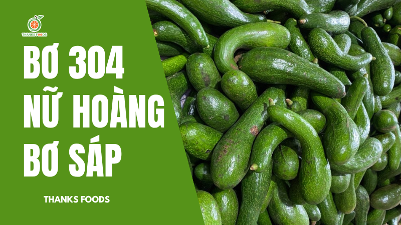 Bơ 304 là gì? Hướng dẫn phân biệt và cách bảo quản bơ lâu 1 bơ 304 bùi béo, ít xơ