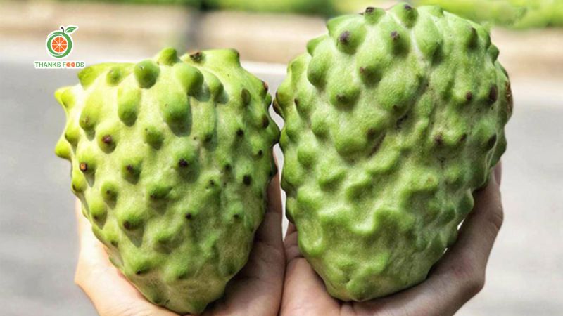 Các giống mãng cầu ở Việt Nam và hướng dẫn cách chọn mãng cầu ngon 9 Na sầu riêng Đài Loan: Khổng lồ, ít hạt