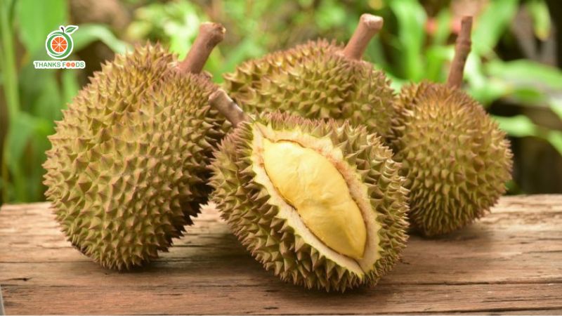 Sau Rae Tổng hợp các loại Sầu Riêng Thái Lan được ưa chuộng nhất
