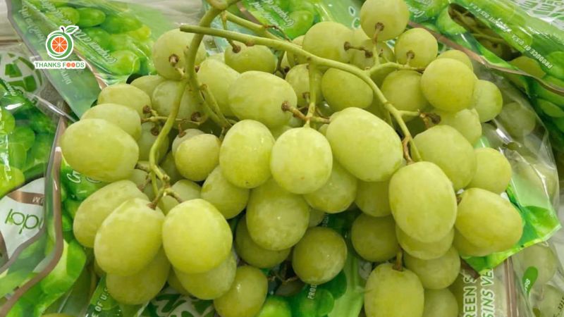 Top các loại nho Mỹ nhập khẩu ngon thường gặp 3 nho Sweet Globe Mỹ