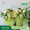 M019 Giỏ Quà Trái Cây