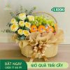 M041 Giỏ Quà Trái Cây