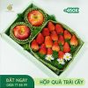 M052 Hộp Quà Trái Cây