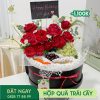 M117 Hộp Quà Trái Cây